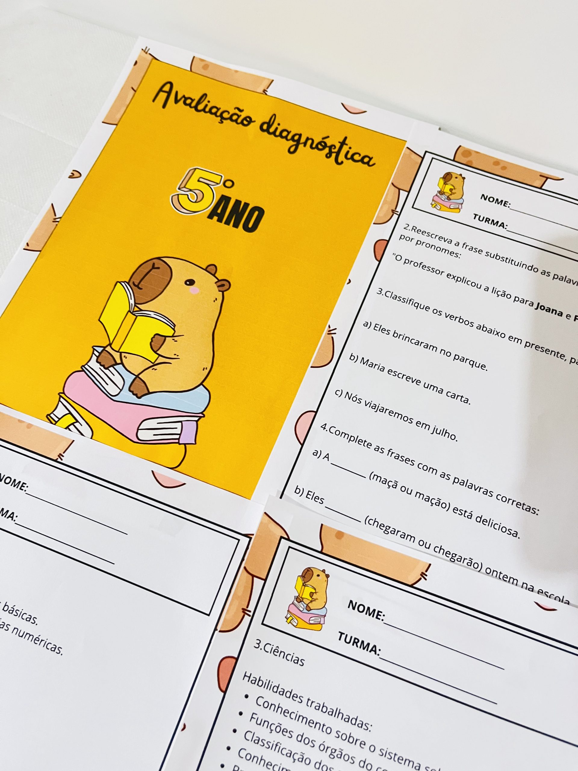 Avaliação Diagnóstica – 5º Ano